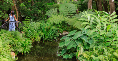 GARDENS